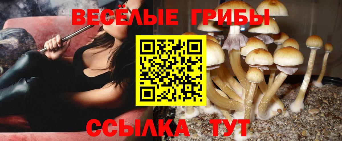 Галлюциногенные грибы мицелий Лянтор